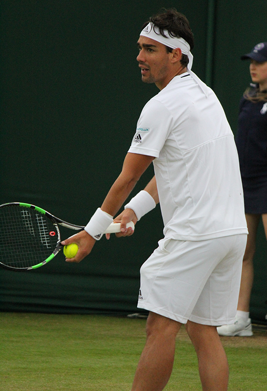 フォニュイーニ