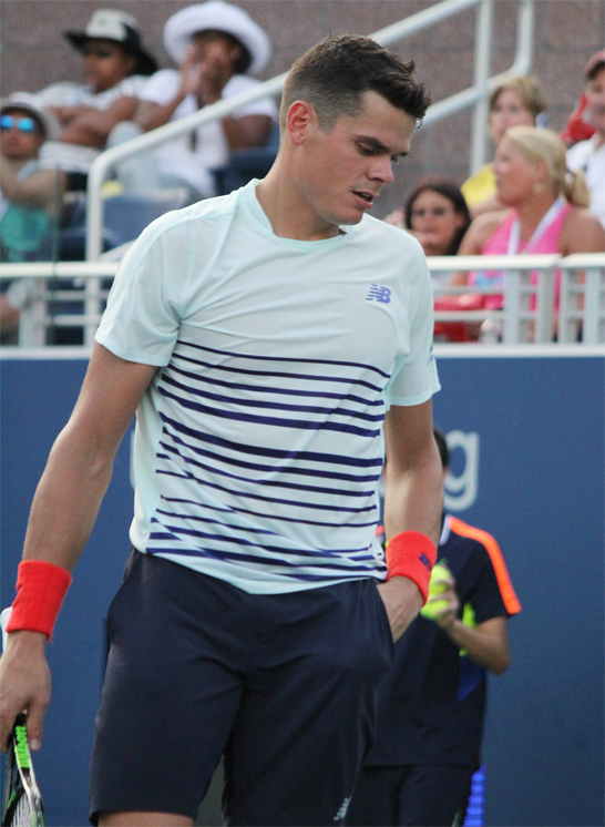 ミロシュ・ラオニチ