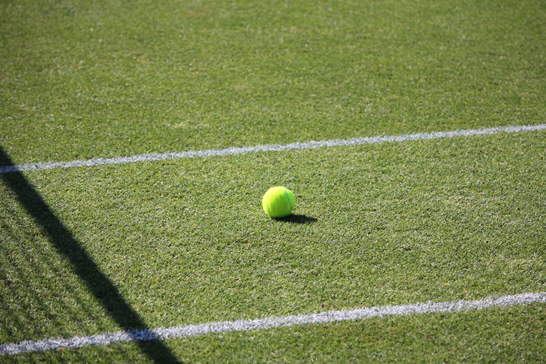 ウィンブルドン