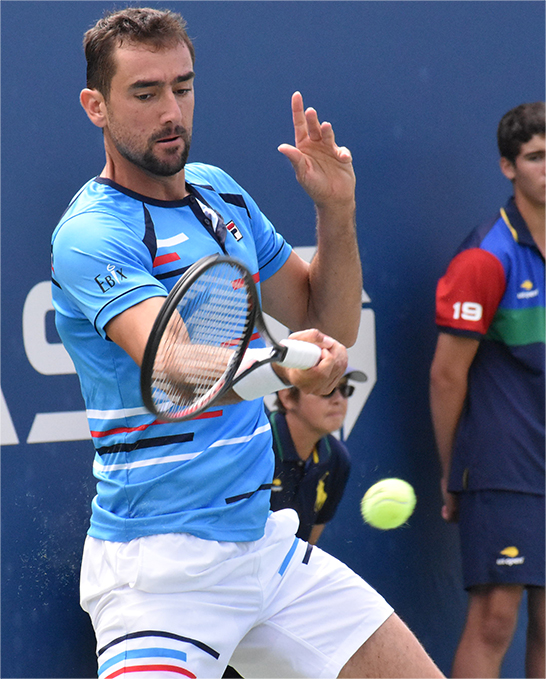 マリン・チリッチ