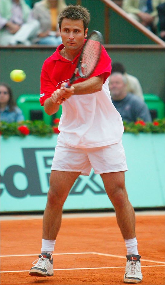 ファブリス・サントロ