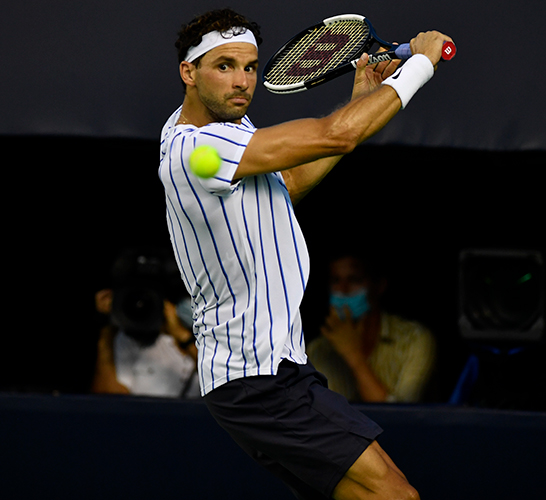 グリゴール・ディミトロフ