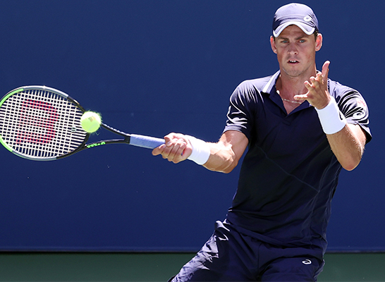 ヴァセク・ポスピシル