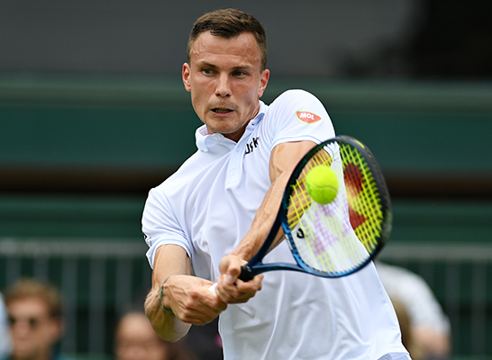 マートン・フチョビッチ