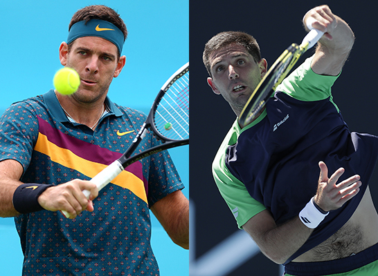 フェデリコ・デルボニス、フアン・マルティン・デル=ポトロ