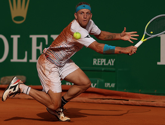 ダビドビッチフォキナ