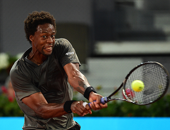 ガエルモンフィス