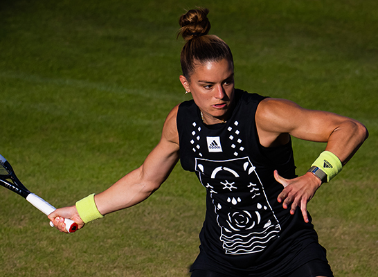 マリア・サッカリ