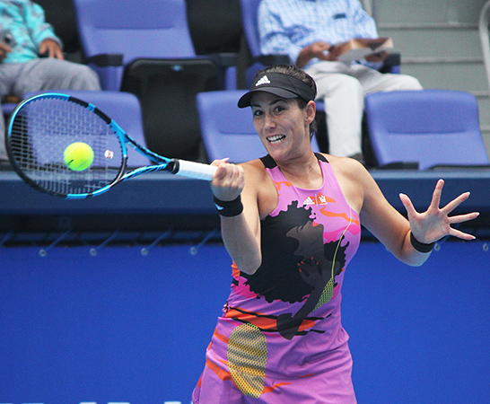 ガルビンムグルサ