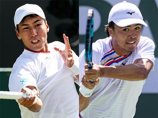 綿貫陽介、ダニエル太郎