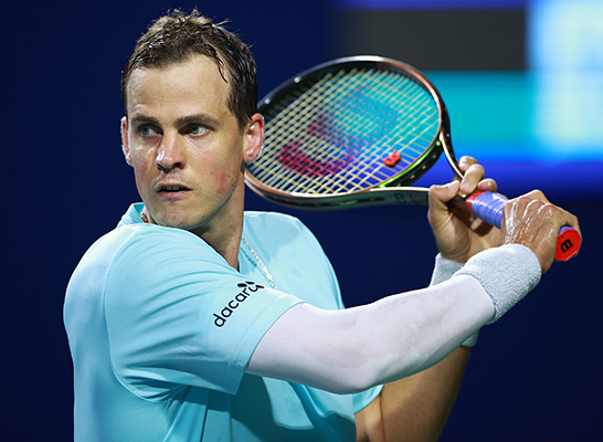 ヴァセク・ポスピシル