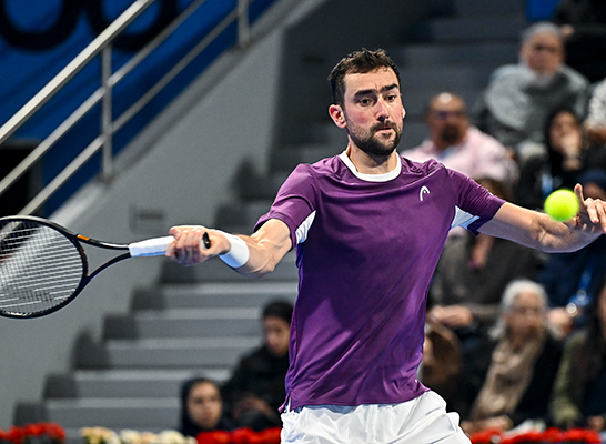 マリン・チリッチ