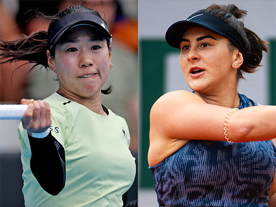 日比野菜緒、アンドレースク