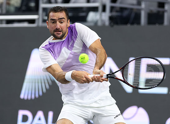 マリン・チリッチ