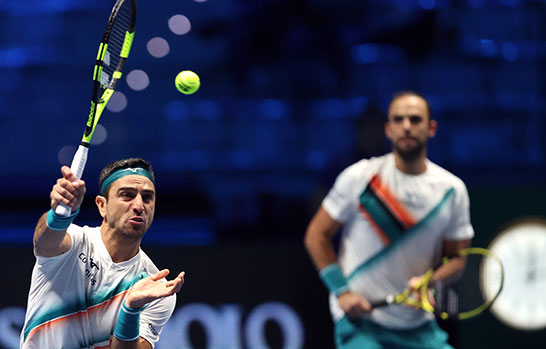 キャバル/ ファラ